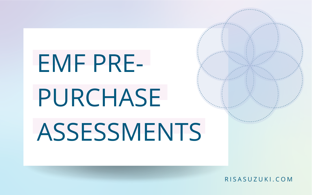 EMF PEMF Pre-Purchase Assessments
